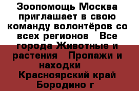 Зоопомощь.Москва приглашает в свою команду волонтёров со всех регионов - Все города Животные и растения » Пропажи и находки   . Красноярский край,Бородино г.